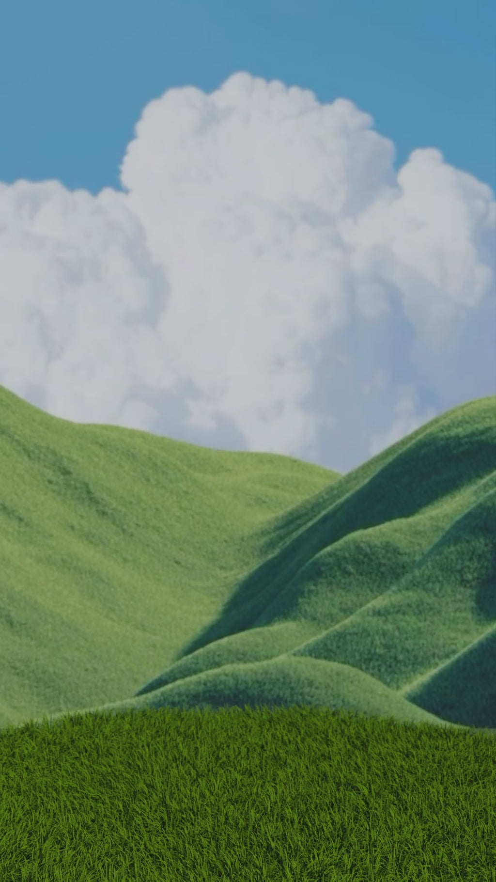 Whole Human Healthcare w/Keychain