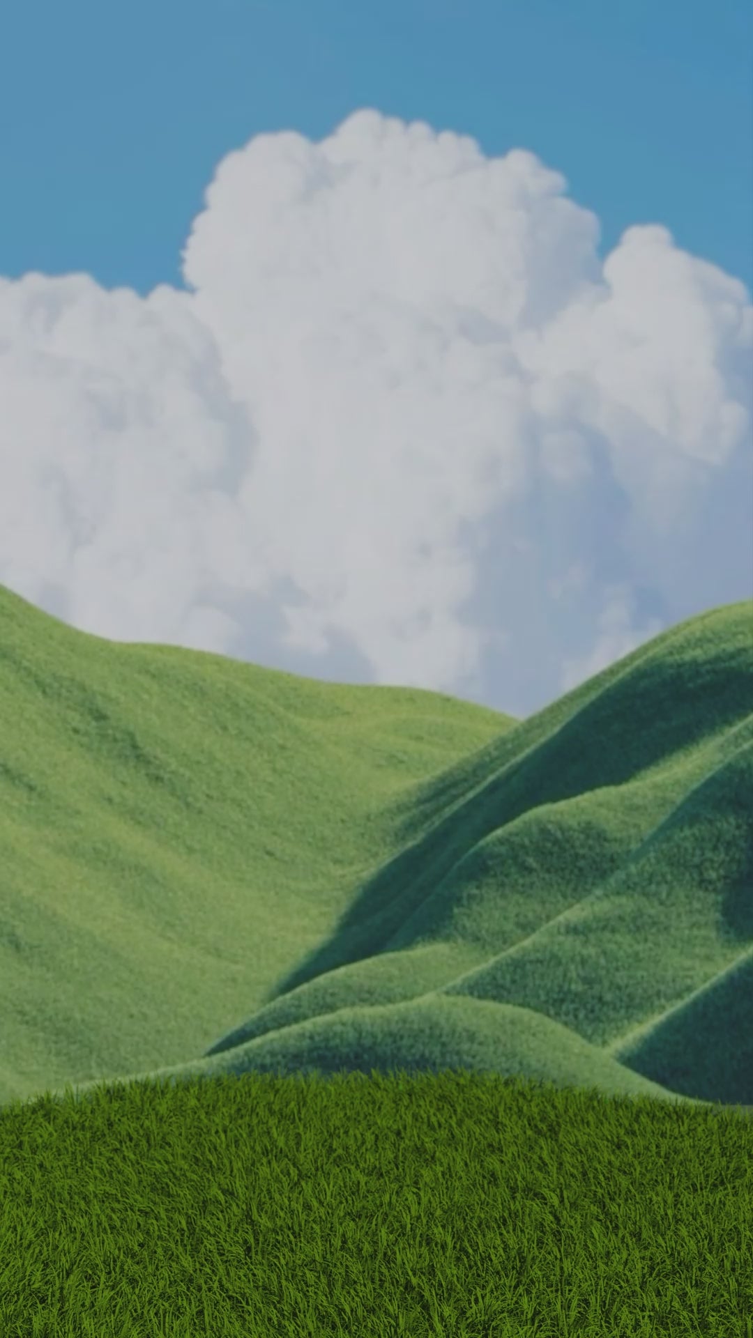 Whole Human Healthcare w/Keychain