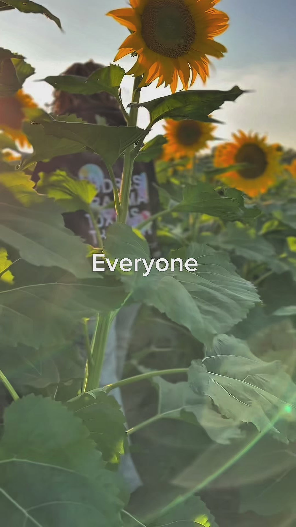 The Address (Limited 1 of 1)